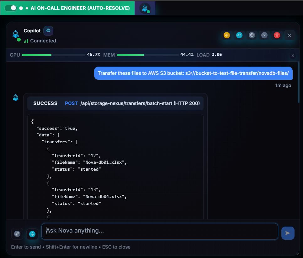 Nova Copilot transferring files to AWS S3