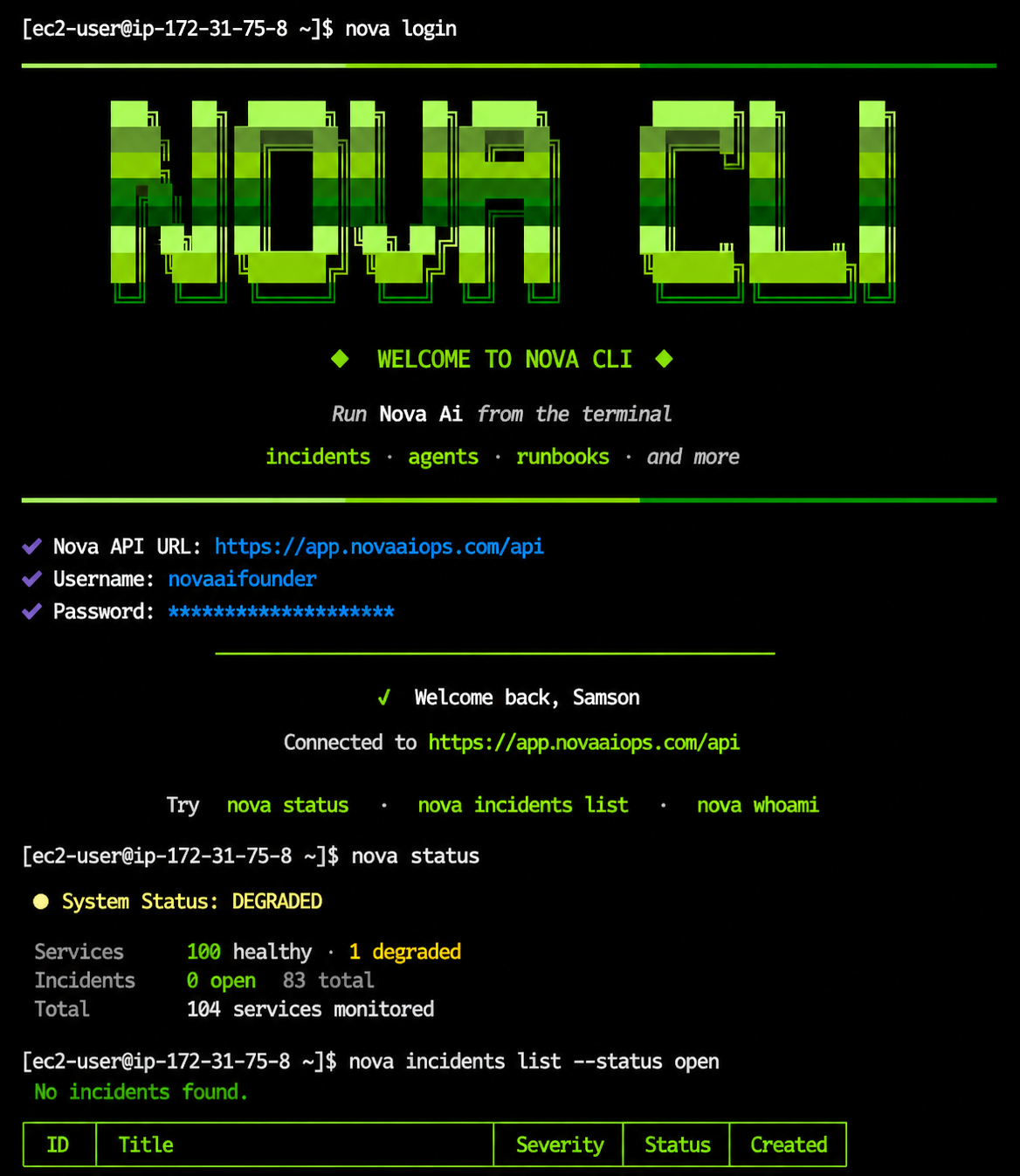 Nova CLI in a terminal showing live output from nova commands