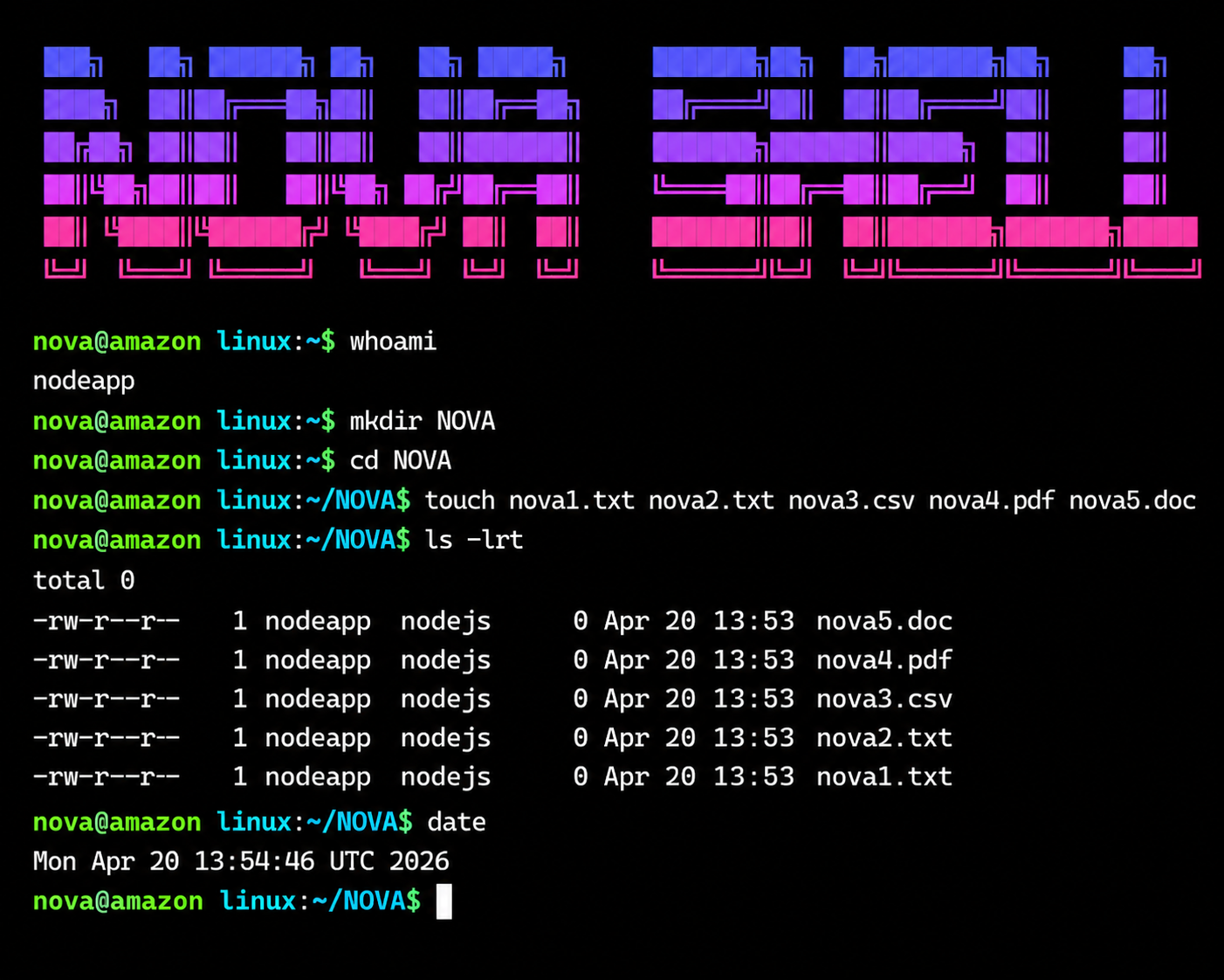 Nova Shell browser terminal showing a live shell session